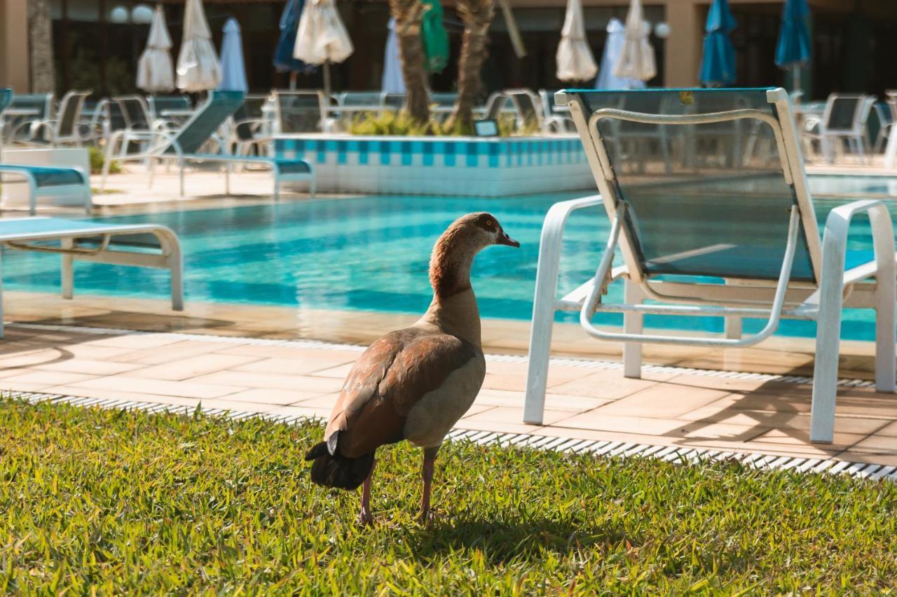 Villa Itaipava Resort & Conventions المظهر الخارجي الصورة